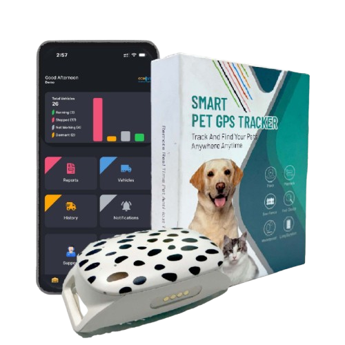 Advanced Pet GPS Tracker – Real-Time Location & Safety for Dogs, Cats & Oth